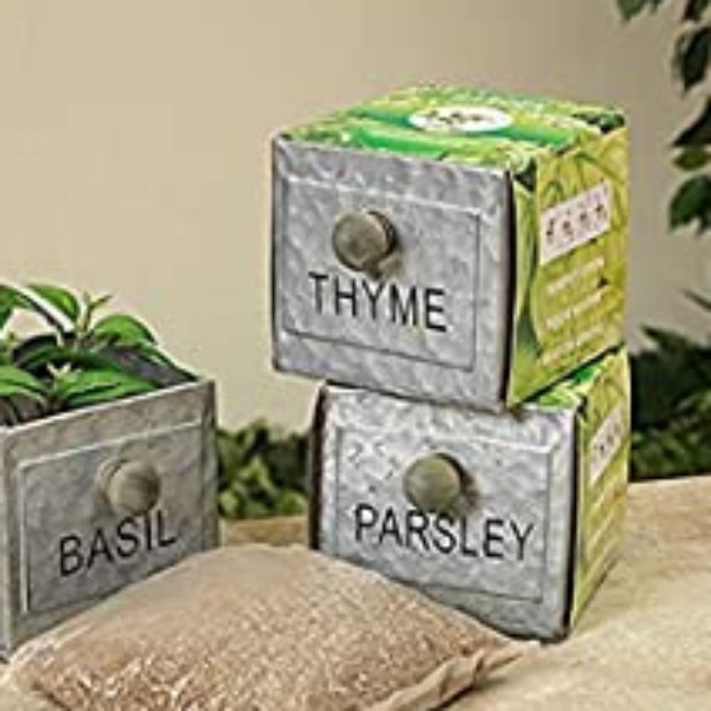 Garden Growing Kits Set of 3